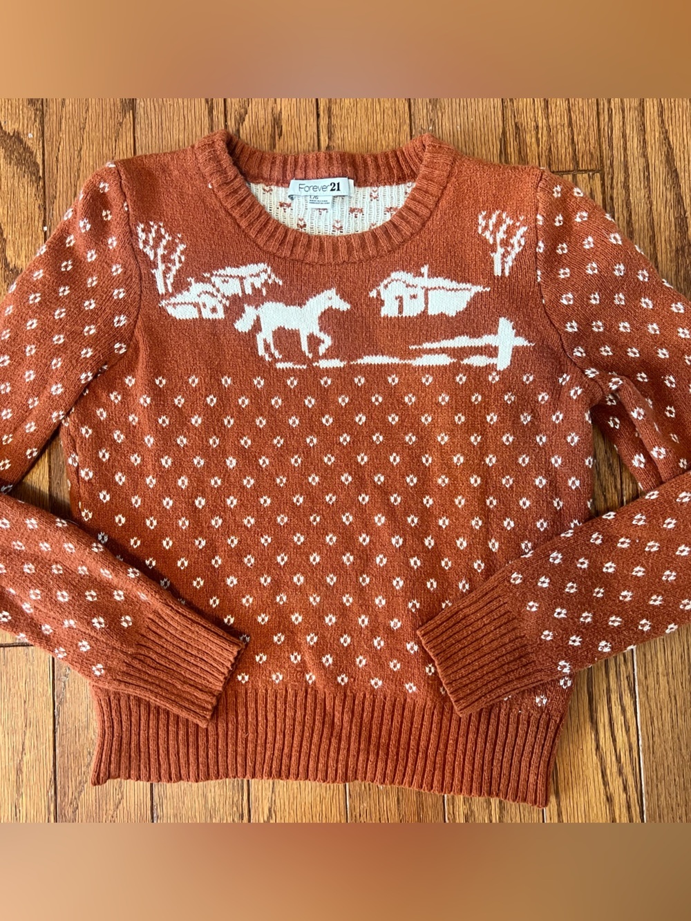 Forever 21 Rust and White Horse Motif Sweater Sz L